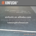 black pine film faced plywood